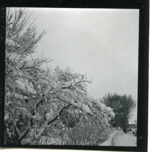 Image description is not available for PHO-4-W689-595